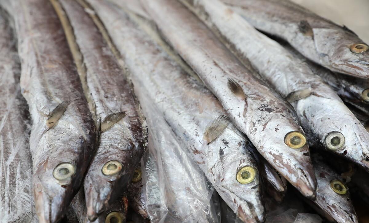 买带鱼黄眼睛和黑眼睛哪个好,买带鱼黄眼睛的好还是黑眼睛的好