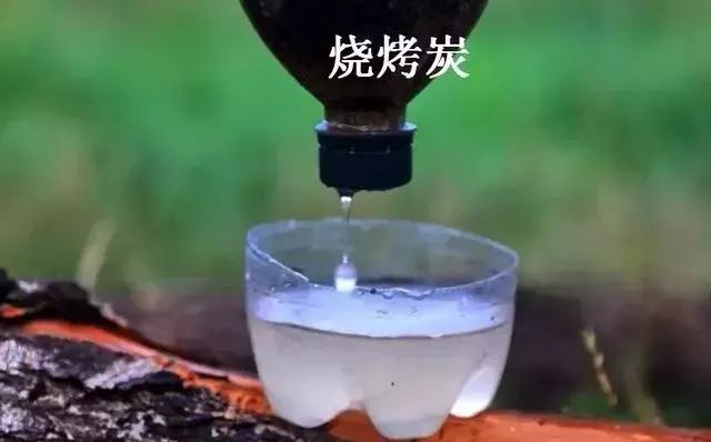 野外求生净化水的方法,野外生存取水的正确方法