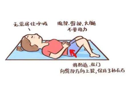 每个女人的盆底肌都松驰吗,女性盆底肌位置