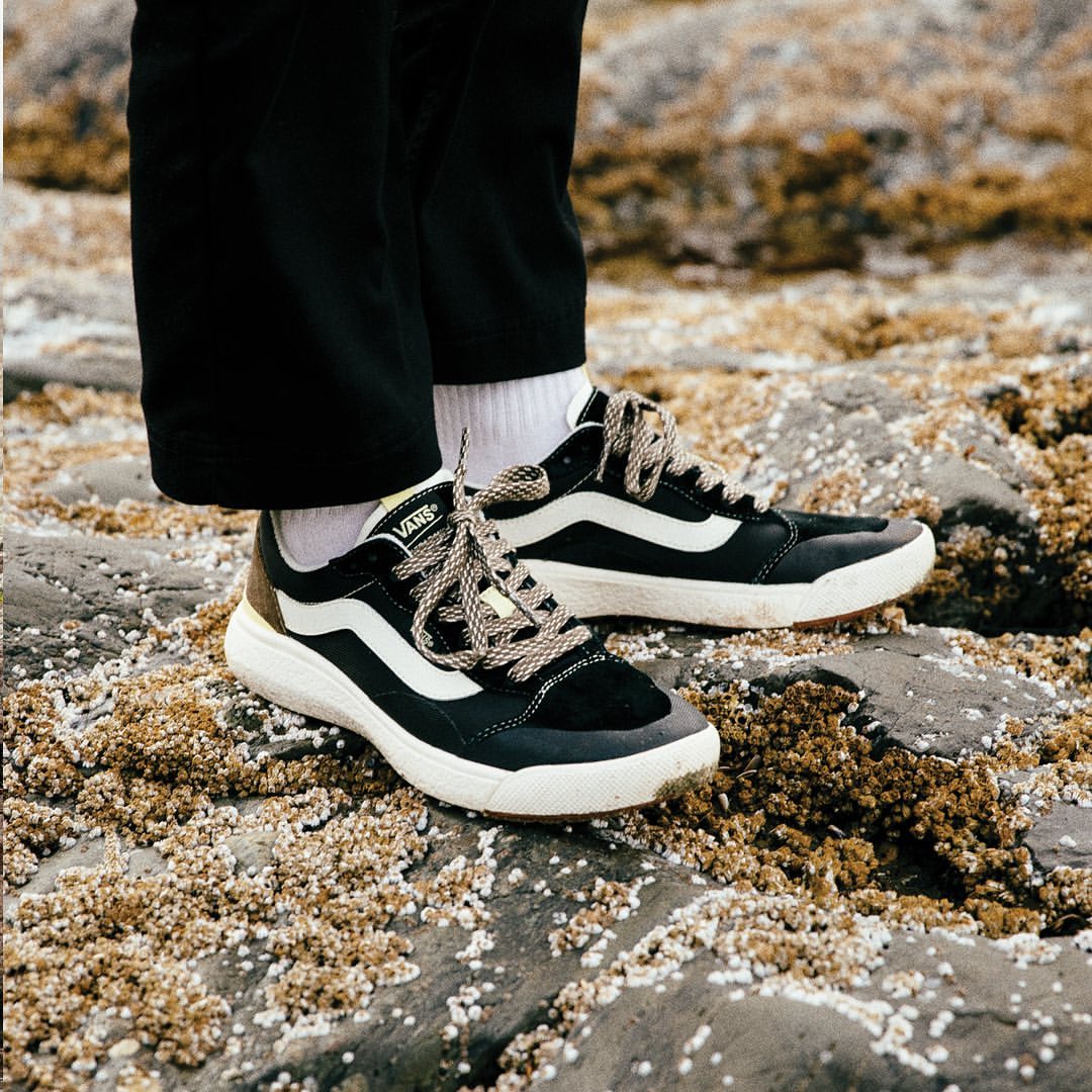 芳心收割机评测,芳心收割机全文在线阅读