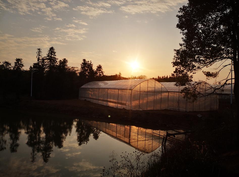 为什么最近南昌人这么多,这几天为啥南昌人这么多