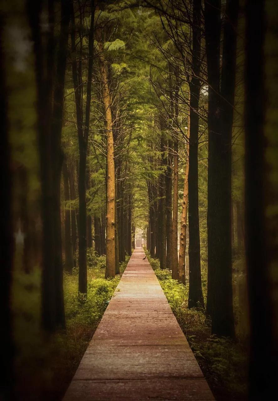 疫情期可以去旅行吗,疫情结束后我要出去好好的旅游