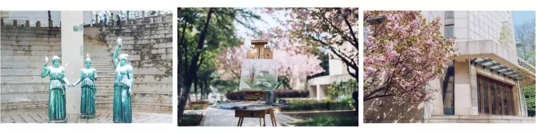 最新中国大学排行榜发布！南艺艺术学连续第四年位列全国第一