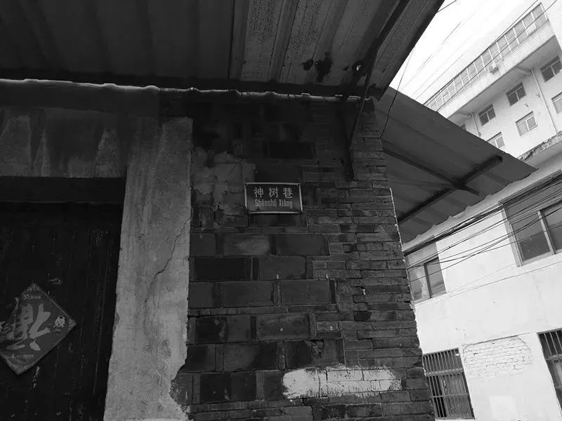 金坛是双面城市吗,金坛是一个美丽的城市