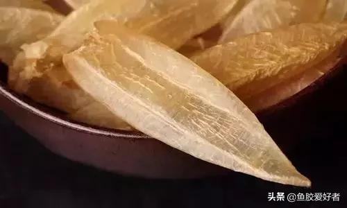 花胶涨发的正确方法,花胶的种类及区别