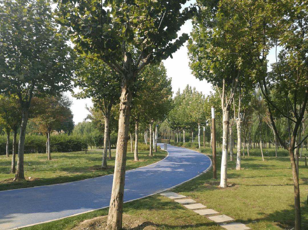 郑州市公园景点排名第一,郑州市公园最佳去处排行榜