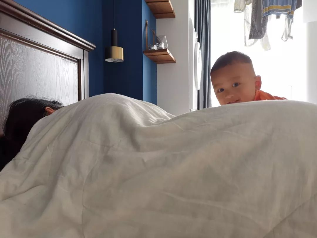 各种被芯,被芯哪种材质比较好