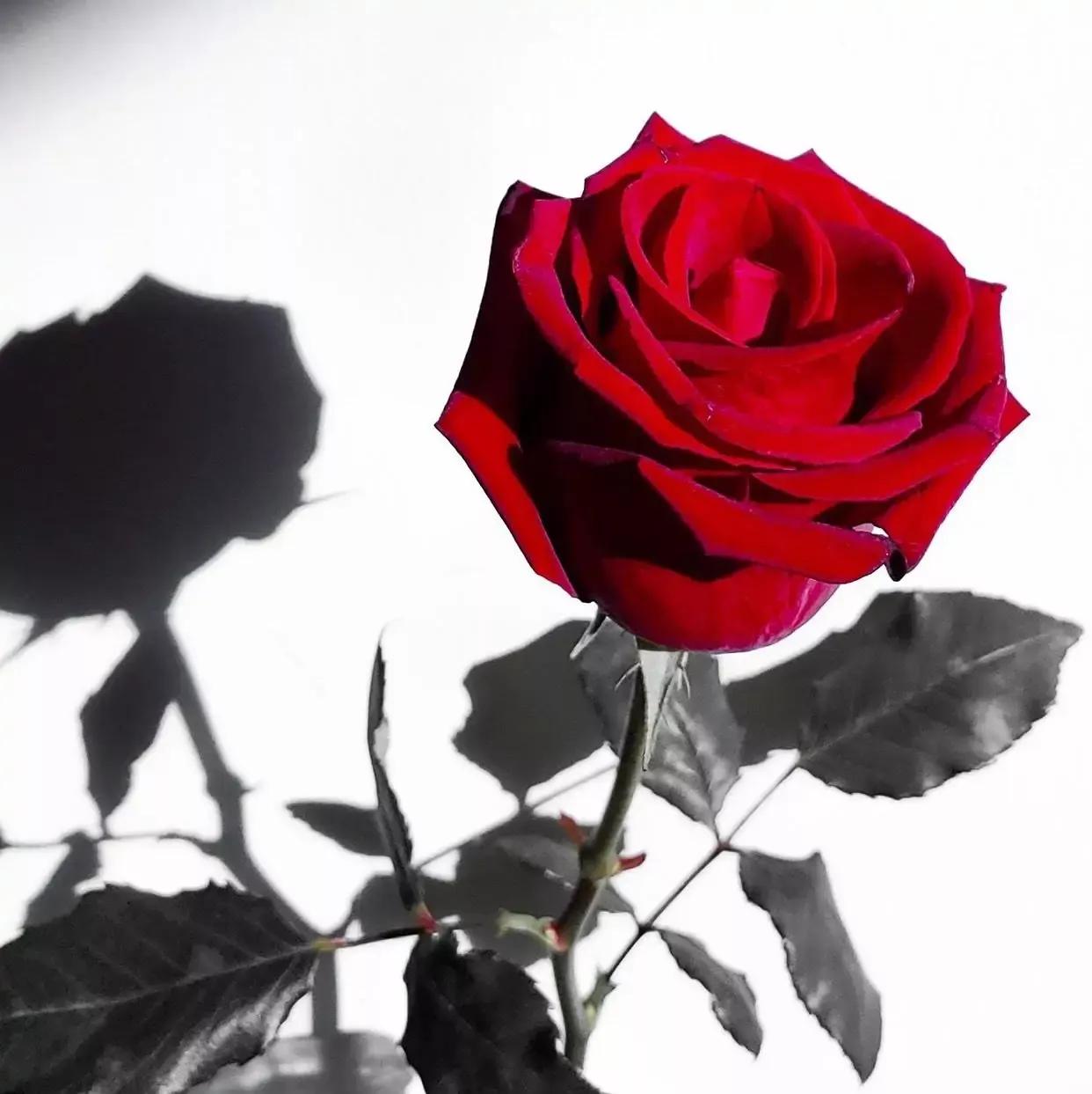 聪明的女人是怎么面对男人的绝情,男人很绝情的时候女人该怎么做