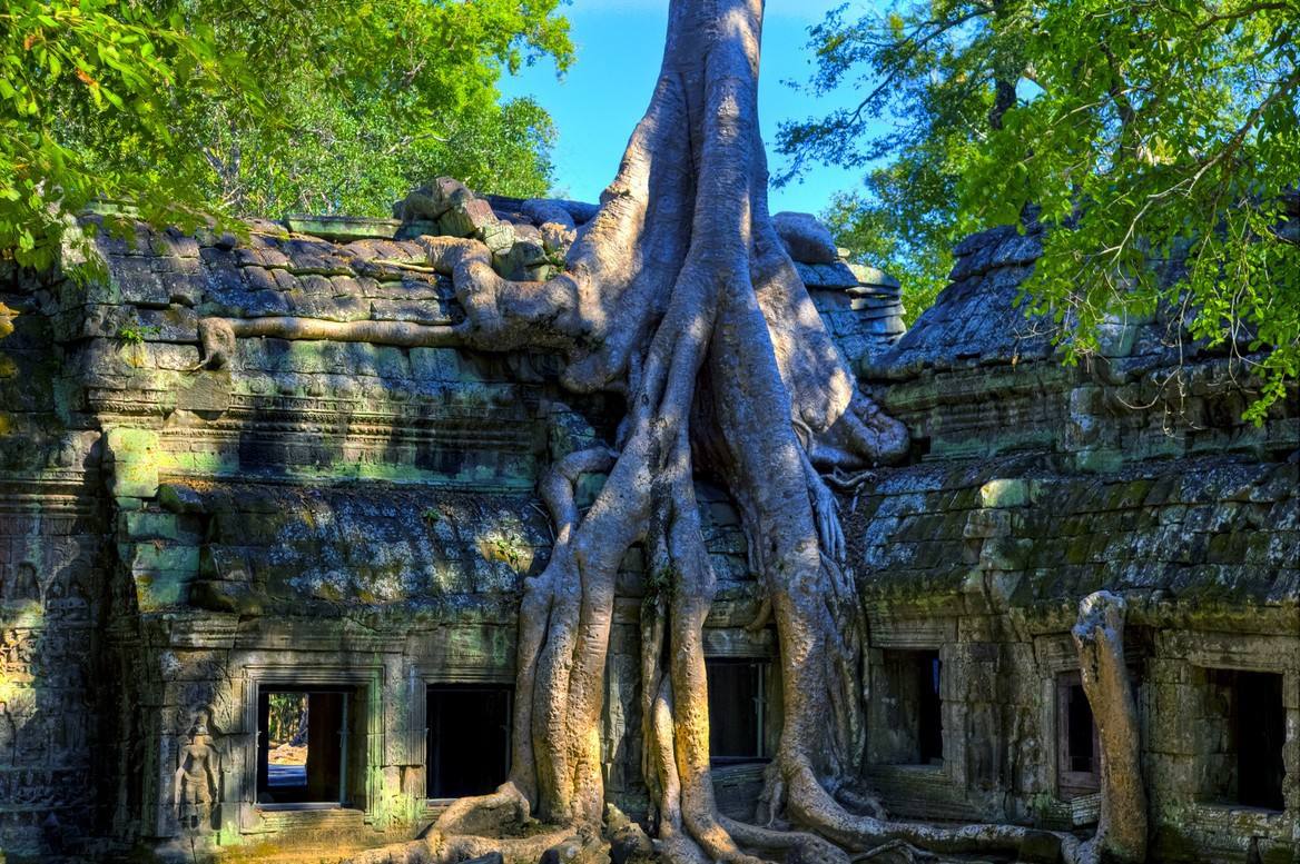 去柬埔寨好不好,去柬埔寨不进园区危险吗