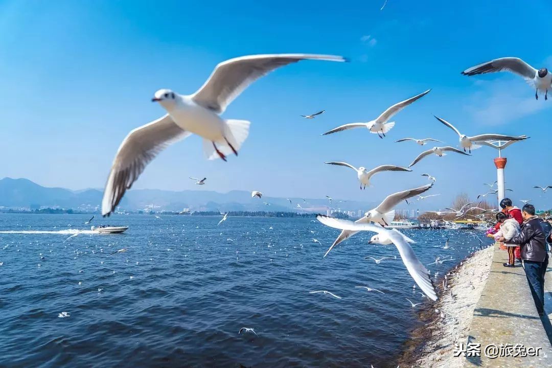 鏄嗘槑璇勪笂鍏ㄧ悆涓夌嚎鍩庡競,鏄嗘槑鏈夊彲鑳芥垚涓哄叏鐞冧笁绾垮煄甯傚悧