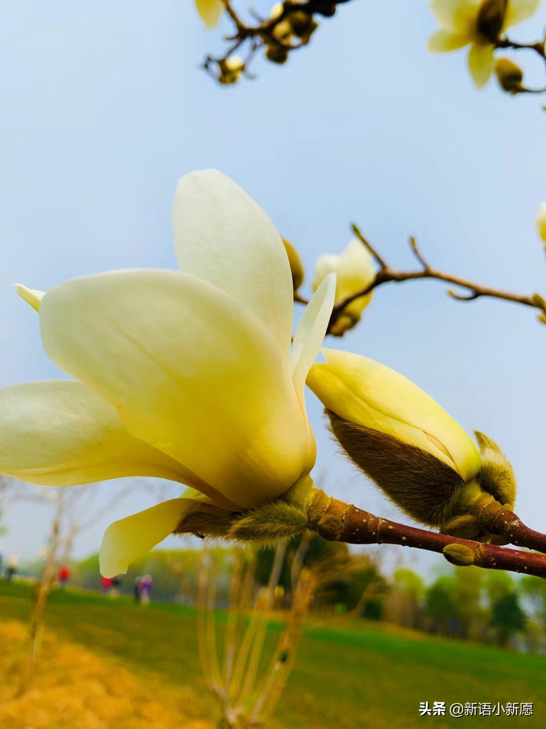 英语补习班学哪个比较好,英语辅导班报线上好还是线下好
