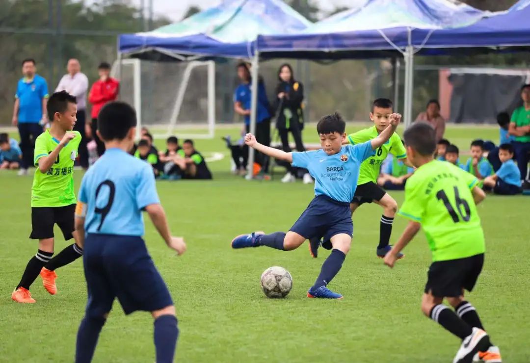 球迷经典故事,球迷故事