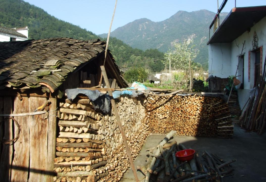 农村柴火灰收购,捡枯枝烧柴合法吗