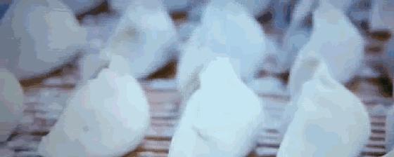 北方冬季适合吃的海鲜,北方冬天适合去的海滨小城