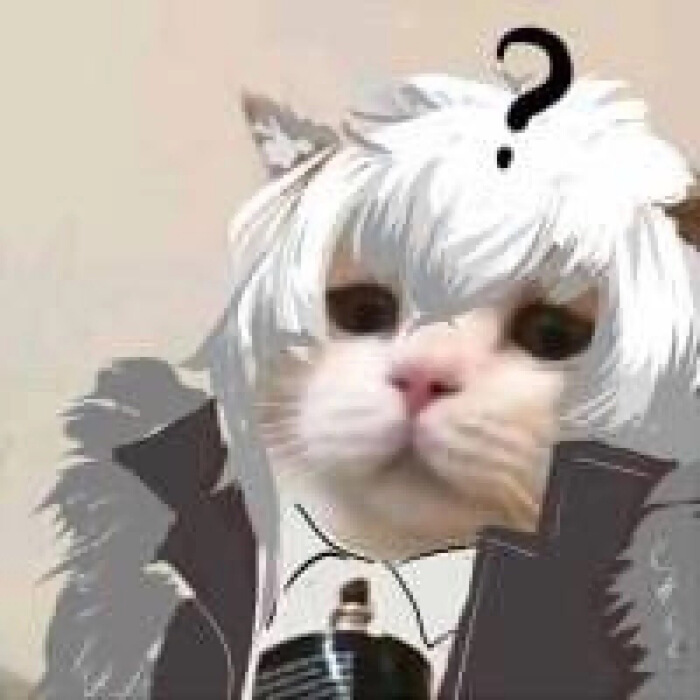 明日方舟斯卡蒂与承太郎,明日方舟沙雕梗图