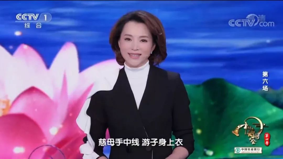 董卿在诗词大会上十场唯美开场词,诗词大会第四季董卿开场白合集