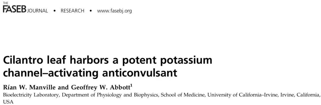 香菜煮水喝能治疗癫痫吗,香菜能治癫痫病是真的吗