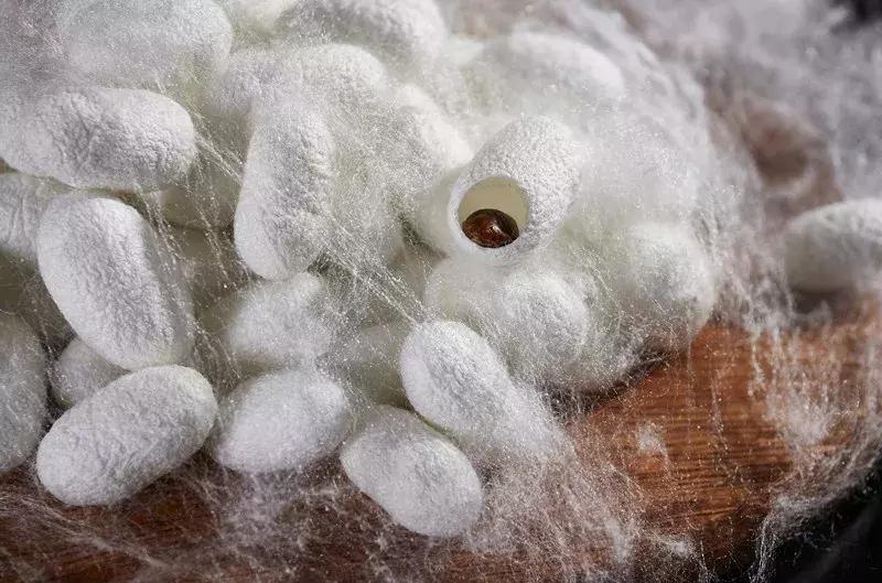 蚕丝被湿水,蚕丝被水太深怎么补救