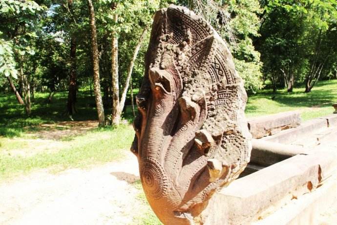 中国神兽龙真的存在吗,龙是不是传说中的上古神兽