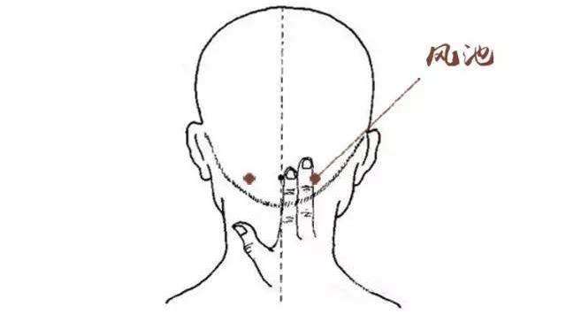 风池穴往上一掌是什么穴位,两风池穴中间是什么穴位