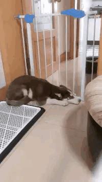 把中间的门店租下来取什么名字好,租下门面不知道取什么名字