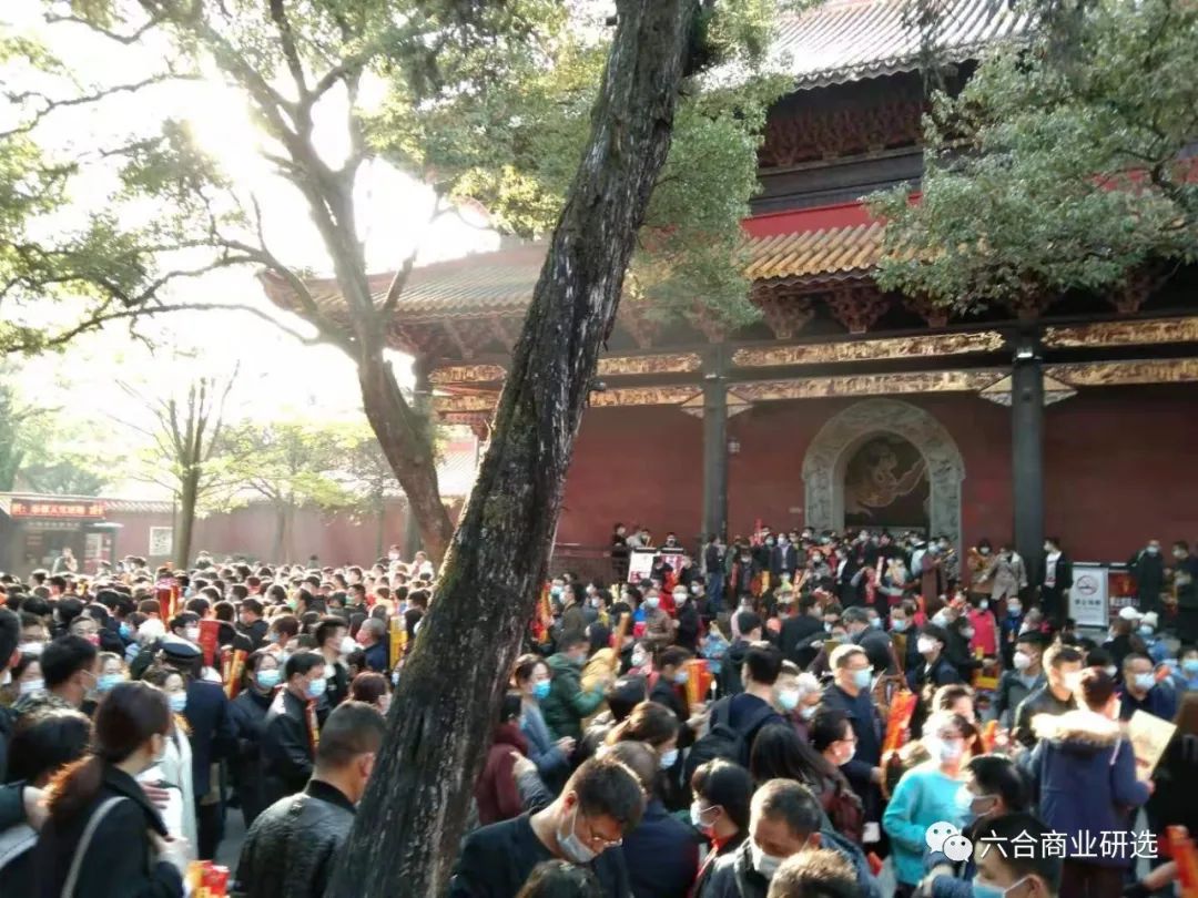 2021回乡见闻录全部视频,2023返乡见闻