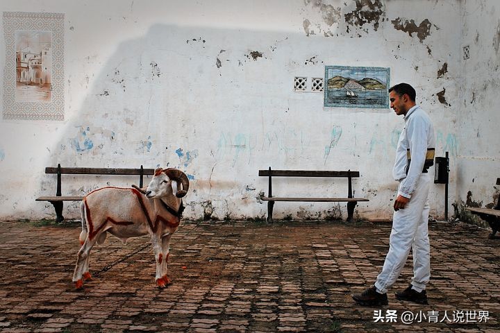 我发现非洲的阿尔及利亚存在许多商机，阿尔及利亚是个怎样的国家