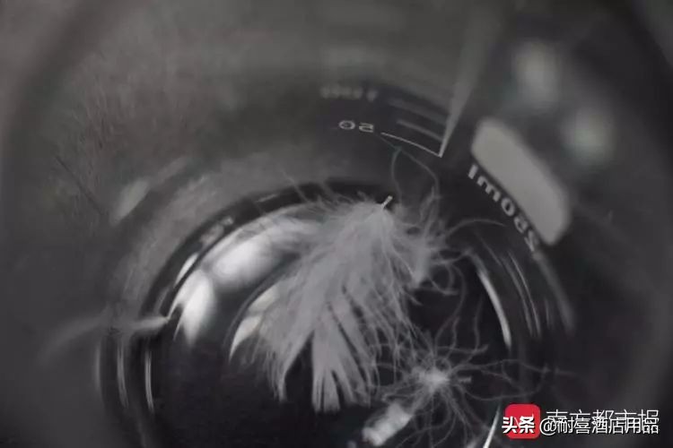 识别真假羽绒服视频,如何识别假羽绒