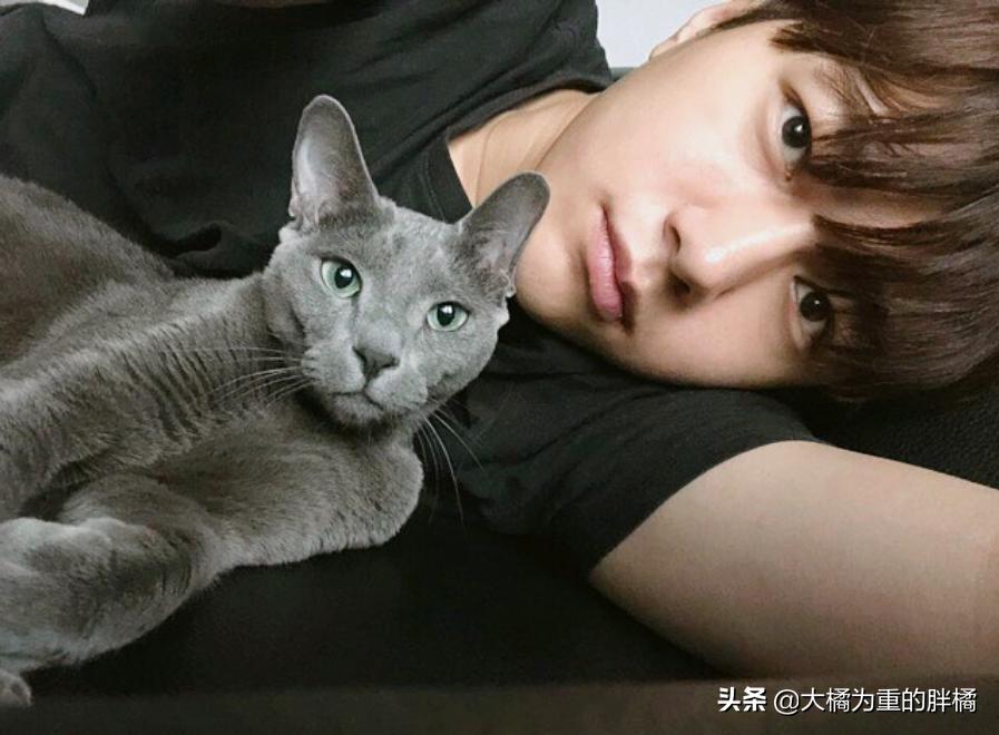 白猫“化身”*男美**子,与主人甜蜜同居,猫咪治愈剧《快过来》真甜