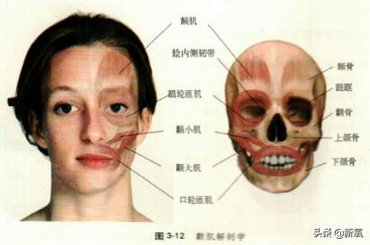 戴牙套真的会出现牙套脸,戴牙套期间牙齿变龅了