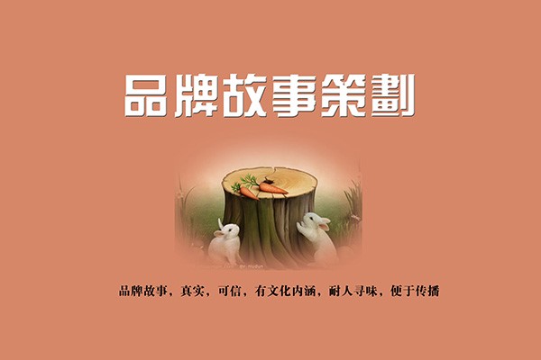 缃戠珯寤鸿鍝佺墝绛栧垝妗堜緥鍒嗘瀽,缃戠珯鍝佺墝绛栧垝涓氬姟鍜ㄨ