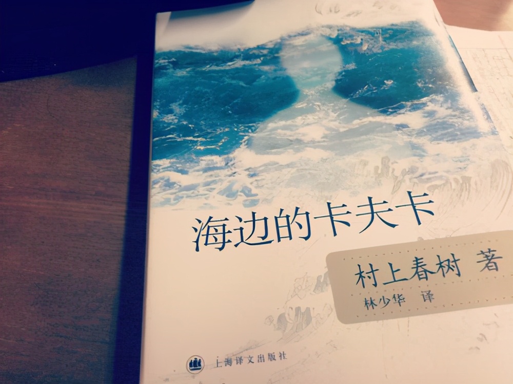 详解《海边的卡夫卡》人物之大岛，他对主人翁卡夫卡的意义何在？
