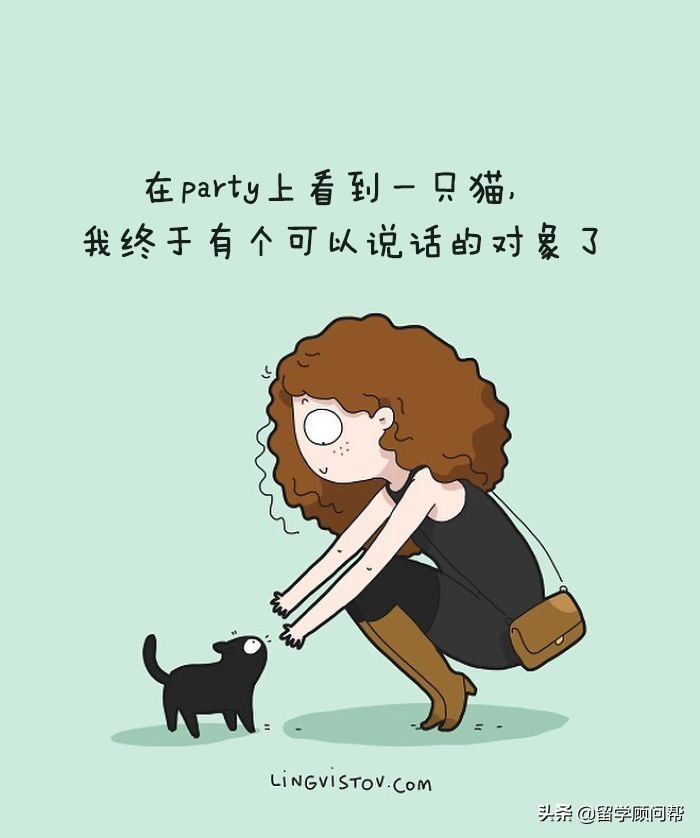 猫主子的日常暹罗猫铲屎官的乐趣,猫吸猫主子的日常