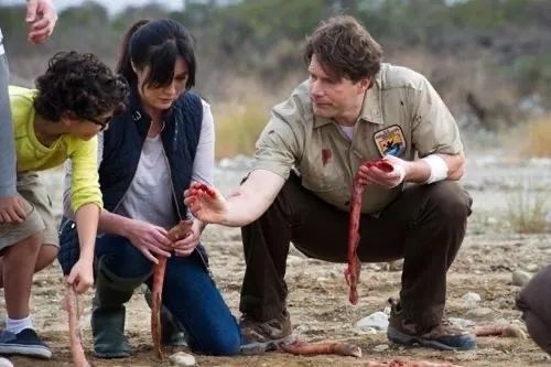 鳗鱼钻入人体的恐怖片名,鳗鱼入侵城市的电影