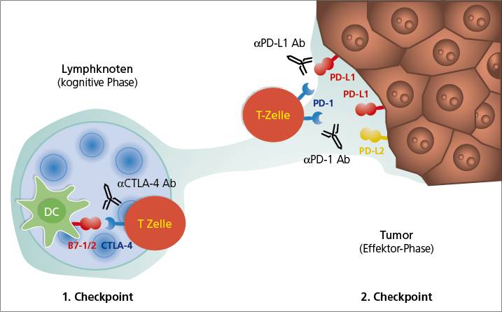 美国卡特总统治疗癌症,美国总统卡特接受免疫治疗