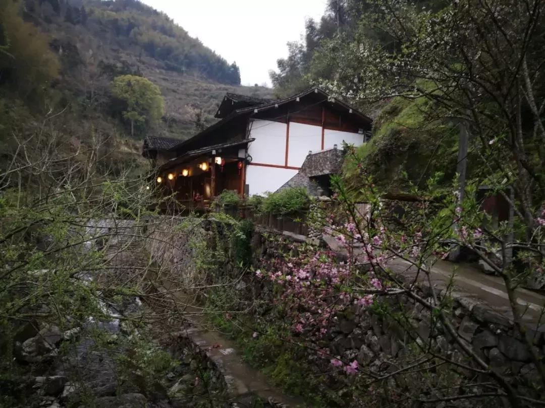楠溪江风景区民宿排名,楠溪江民宿最新推荐