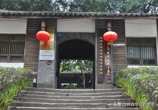 林森完整版免费观看,林森完整视频