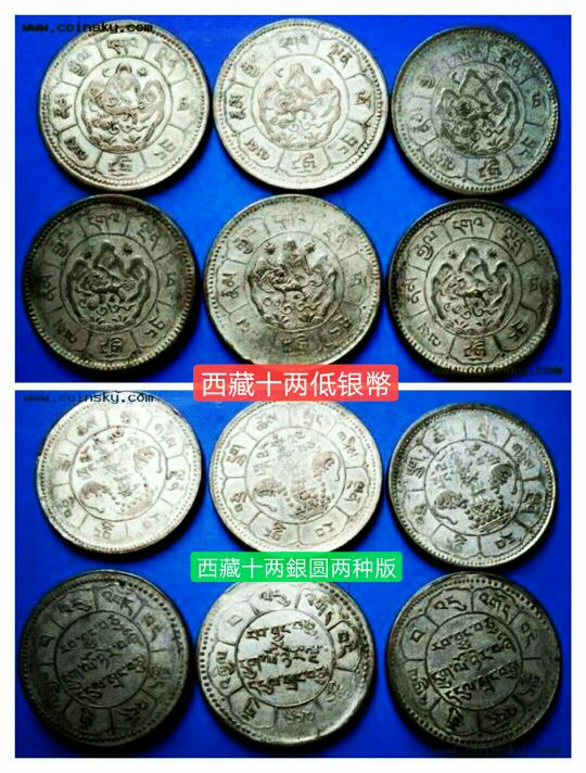 【原创】当年万金购七头藏獒!藏友说是狮子图案？真是一头雾水!