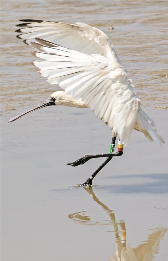 深圳大气环境6项指标连续8年全面达标，茅洲河创有监测数据以来最好水平