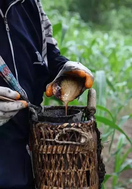 从刷涂料到乳胶漆的过程,桐油漆与水性油漆的优缺点