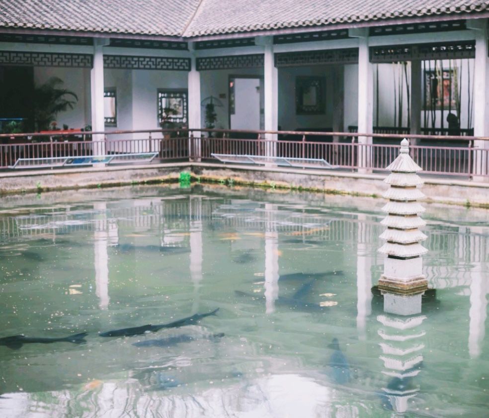 花港一楼茶楼,花港早茶