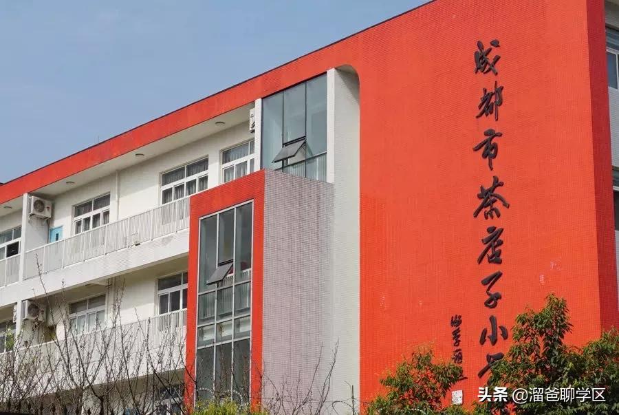 石笋街和茶店子小学怎么选,茶店子小学vs石笋街小学选哪个