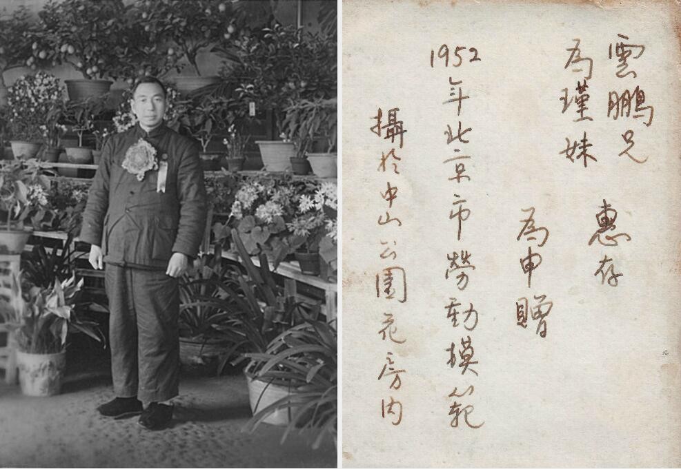 青霉素价格为什么便宜,为何现在的青霉素价格很低