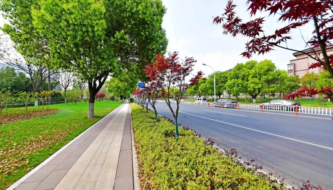 缁忔祹绉瀬淇″彿,绗笁浜т笟娲昏穬閲婃斁绉瀬淇″彿