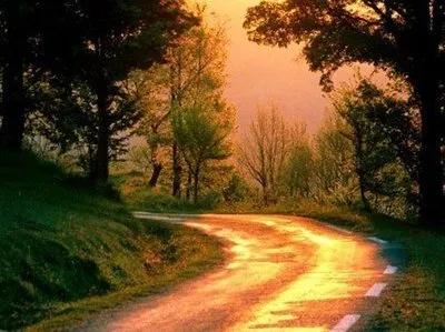 「今日作家」王保利‖不为理由找理由(散文)