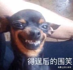 “听说你想学化学专业？天坑中的天坑啊！”