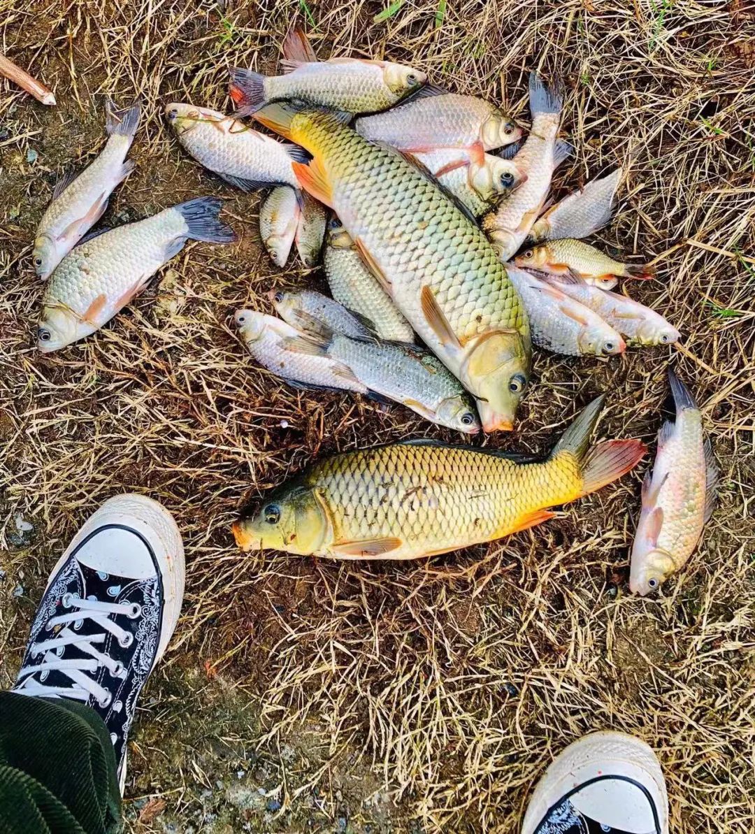 野奢不被鄙视?问问那些爱钓鱼的老孩子们,他们有活蹦乱跳的经验