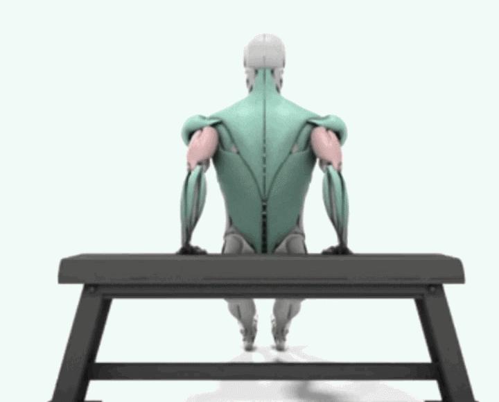 身材塑形的简单动作,练什么动作可以塑形身材