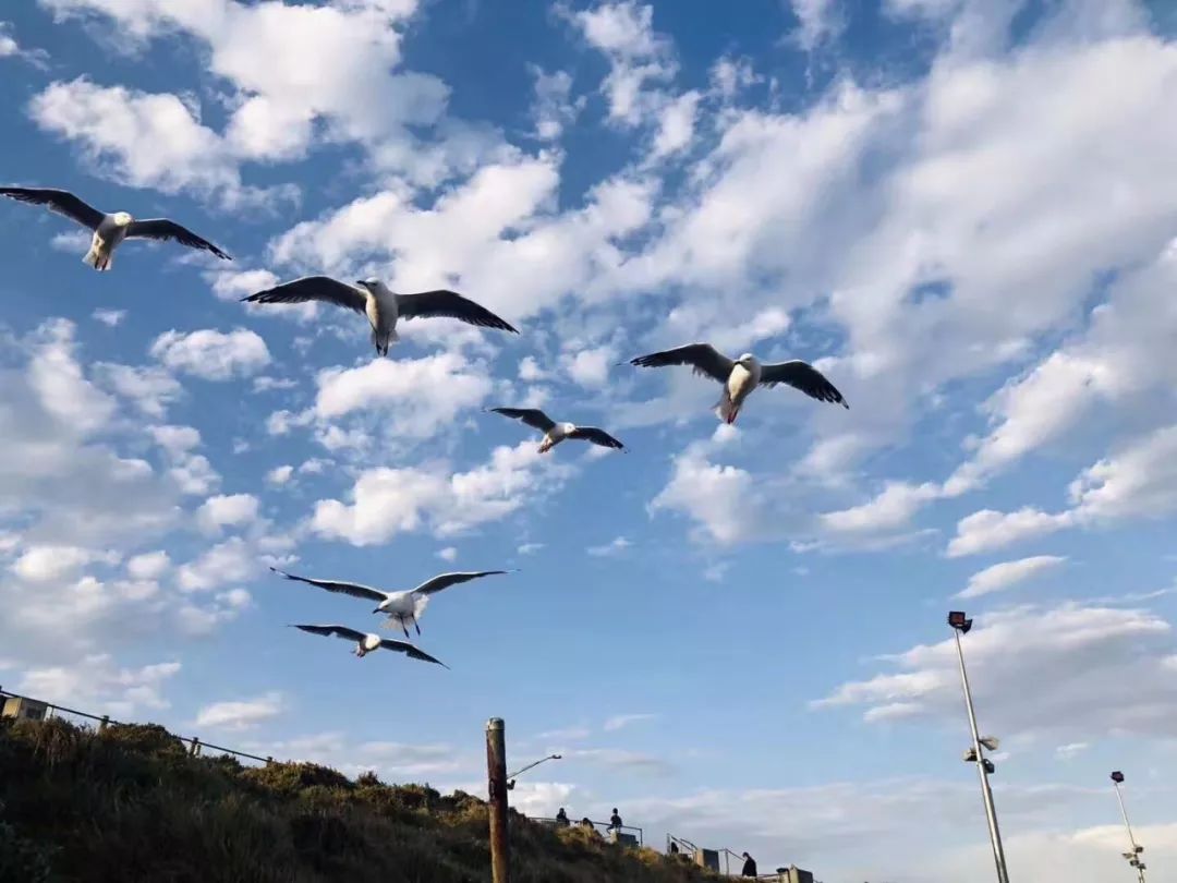 澳洲珀斯入境最新通知,带一条烟入境澳洲申报