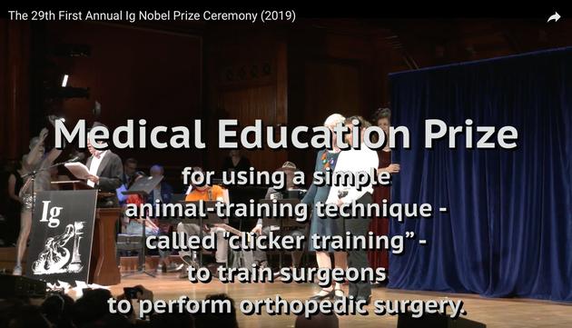 2016世界上最搞笑的诺贝尔奖,搞笑诺贝尔奖2019出炉